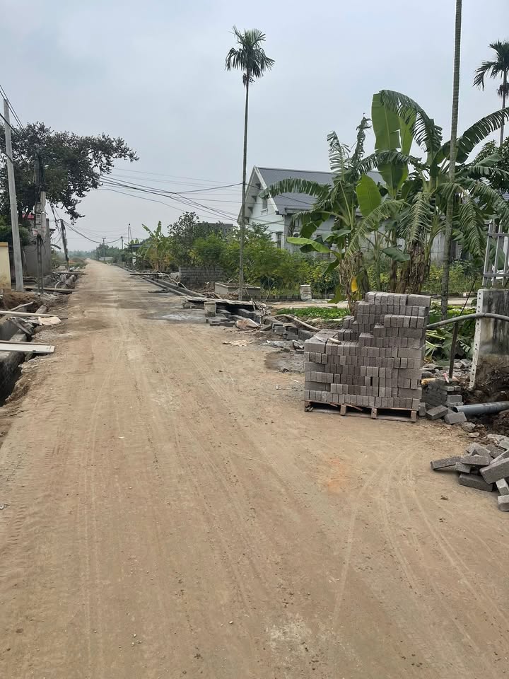 Đất nền Trường Thọ, An Lão 68.5m² giá 1.5 tỷ - Tiềm năng sinh lời lớn!