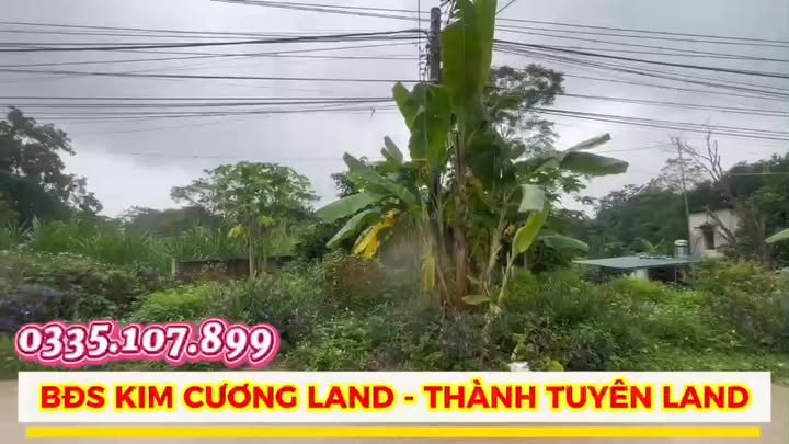 Đất Kim Cương Tổ DP2, Nông Tiến, Tuyên Quang 661m² - Đầu tư sinh lời ngay!