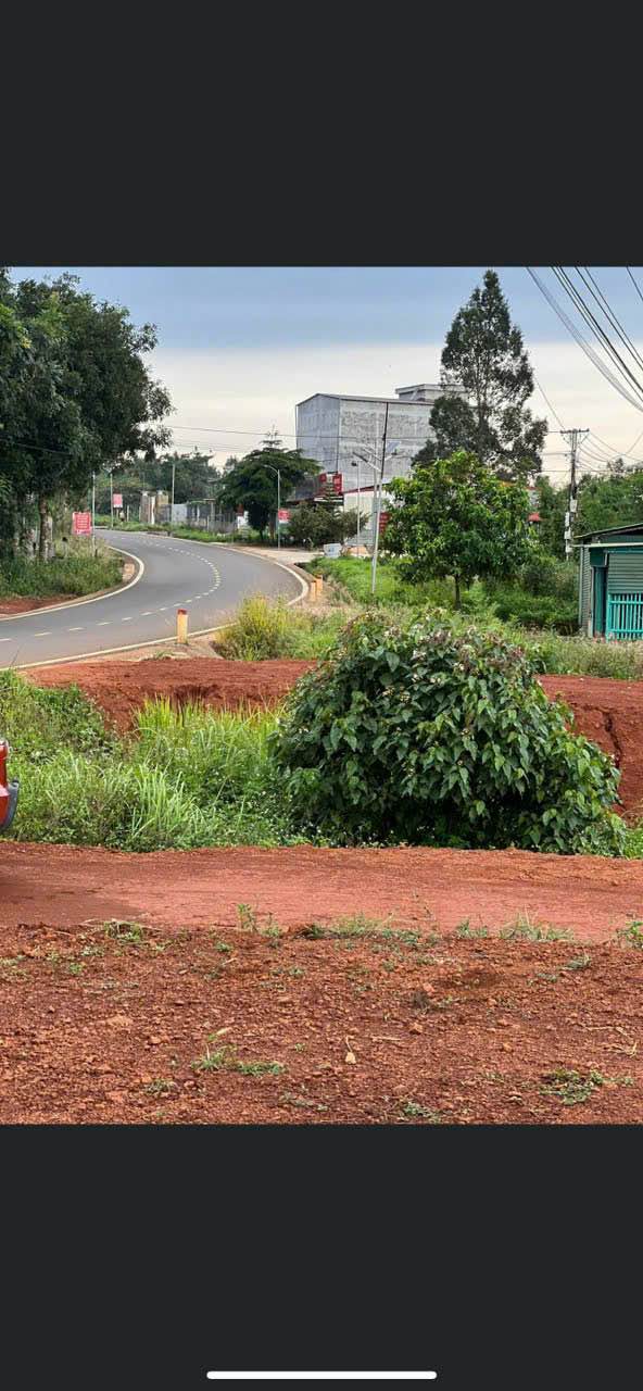 Đất thổ cư 420m² đường Nguyễn Văn Cừ, Gia Nghĩa chỉ 1,1 tỷ - Giá sốc không thể bỏ qua!