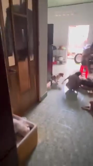 Nhà cấp 4 Tân Đông Hiệp 140m² giá 4 tỷ - Đang cho thuê 6 triệu/tháng!