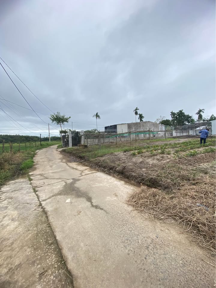 Lô đất Nghĩa Kỳ, Tư Nghĩa, Quảng Ngãi 100m² giá 390 triệu - Đầu tư sinh lợi bền vững!