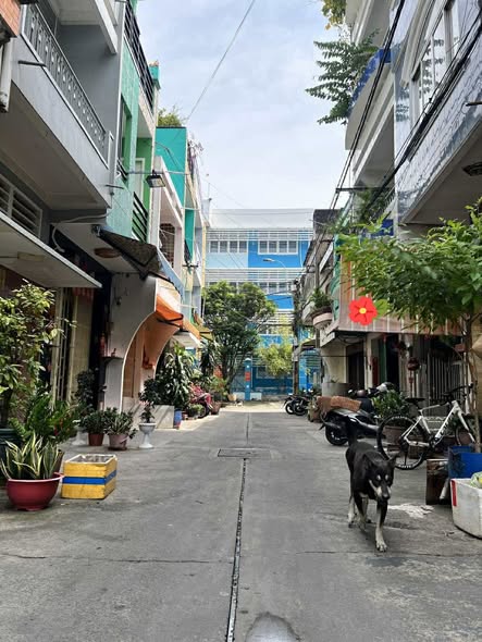 Nhà phố Quận 11 Minh Phụng 68m² giá 8.5 tỷ - Lô góc hai mặt hẻm xe hơi tránh!