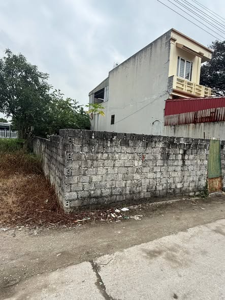 Đất nền Quảng Phú, Thanh Hóa 100m² giá 1.5 tỷ - Đầu tư sinh lời ngay!