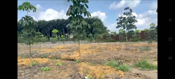 Farm 1,5 ha mặt tiền đường 16, xã Minh Lập, giá 2,9 tỷ - Cơ hội đầu tư hấp dẫn!