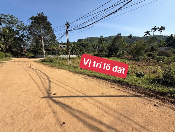 Đất nền dự án Vân Am, Ngọc Lặc 100m² giá chỉ 50 triệu - Đầu tư sinh lời!