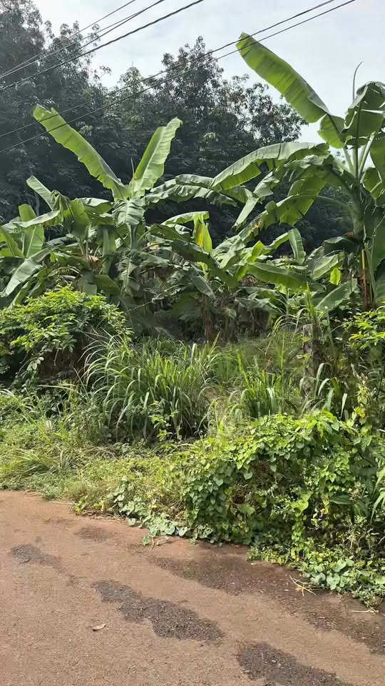 Đất nền 1,1 sào mặt tiền đường 90, Long Phước - Bà Rịa giá 3,95 tỷ - Cơ hội đầu tư tuyệt vời!