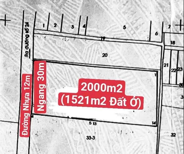 Đất mặt tiền đường nhựa 2000m² quận Thủ Đức - Pháp lý sổ hồng riêng, giá tốt!
