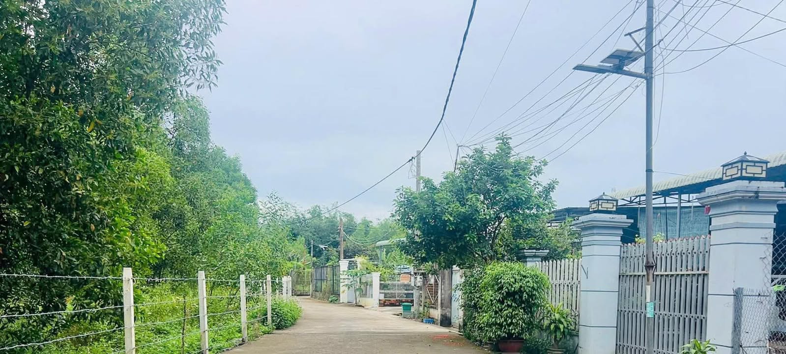 Đất nền Phước Bửu, Xuyên Mộc 203m² giá 1.5 tỷ - Đầu tư sinh lời ngay!