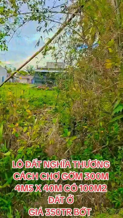 Đất nền Nghĩa Thương, Tư Nghĩa 180m² giá 300 triệu - Đầu tư sinh lời ngay!