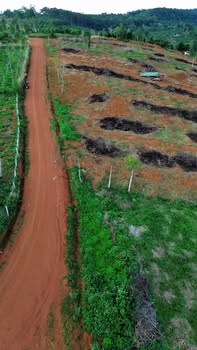 Đất nền Trường Xuân Đắk Nông 2ha giá 2.6 tỷ - Sổ hồng chính chủ!