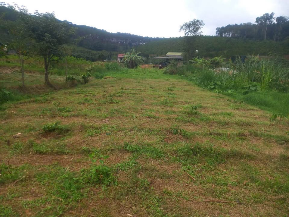 Đất B'Lá 8000m² giá 4.2 tỷ - View đẹp với nhà, ao, suối