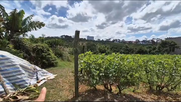 Đất nền Bảo Lộc 1030m² giá 2.5 tỷ - Vị trí đắc địa gần Lâu Đài Trắng