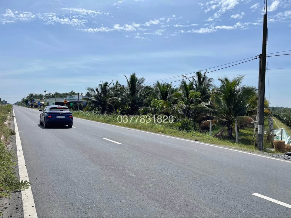 Đất mặt tiền Nguyễn Đáng, Càng Long 1.977m² giá 3.9 tỷ - Cơ hội đầu tư tuyệt vời!