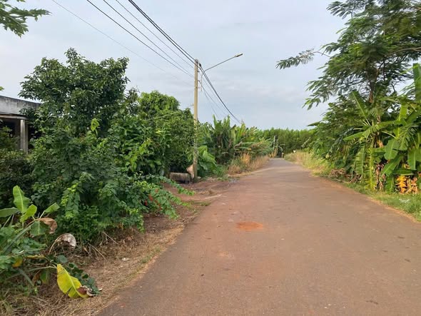 Đất biệt thự mặt tiền đường 89B Long Phước 504m² giá 1.9 tỷ - Cơ hội đầu tư hấp dẫn!