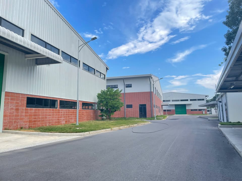 Cho thuê kho xưởng 3000m² KCN Hải Sơn, Đức Hòa, Long An - Giá chỉ 195 triệu/tháng!