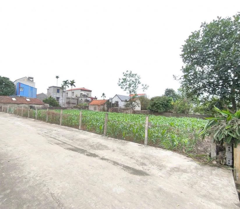 Đất nền Xóm 1, Nghĩa Phong 110m² giá chỉ 600 triệu - Đầu tư sinh lời ngay!