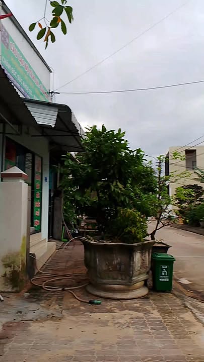 Đất nền Phạm Quang Ảnh, Đức Phổ 137m² - Cần bán gấp, giá tốt!