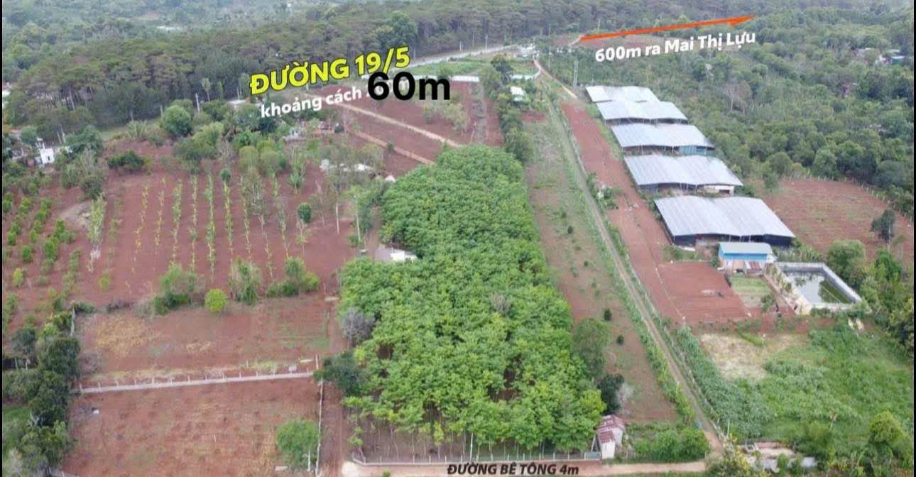 Đất nền nghỉ dưỡng Ea Tam 500m² giá 1.49 tỷ - Cơ hội đầu tư tuyệt vời!