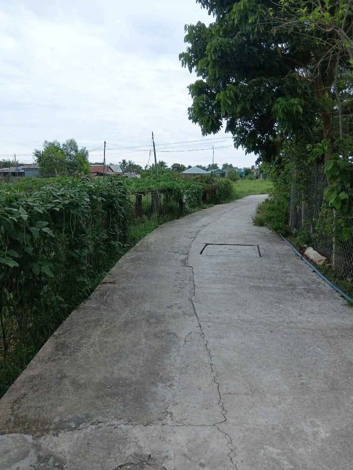 Đất nền thổ cư 1000m² tại Hàm Thắng - Giá chỉ 800 triệu, thương lượng tốt!