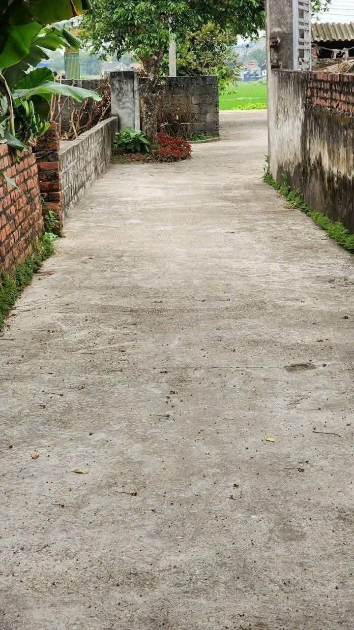 Đất nền Điệp Nông Hưng Hà 101m² giá 400 triệu - Đường ô tô vào tận nơi!