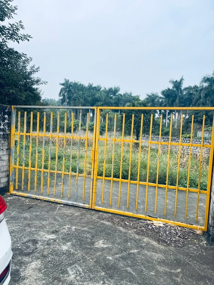 Đất nền Yên Bài Ba Vì 1800m² giá 9 tỷ - View núi thơ mộng, đầu tư sinh lời!