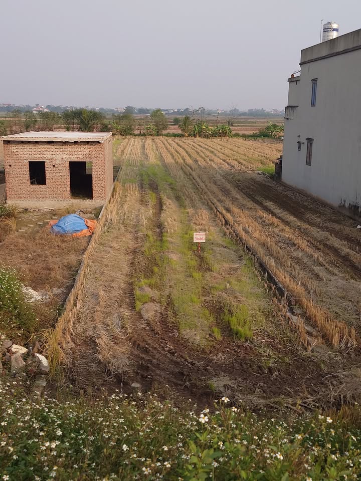 Lô đất mặt đường Trần Nhân Tông, Yên Lộc, Ý Yên 500m² giá 1.25 tỷ - Cơ hội đầu tư hấp dẫn!