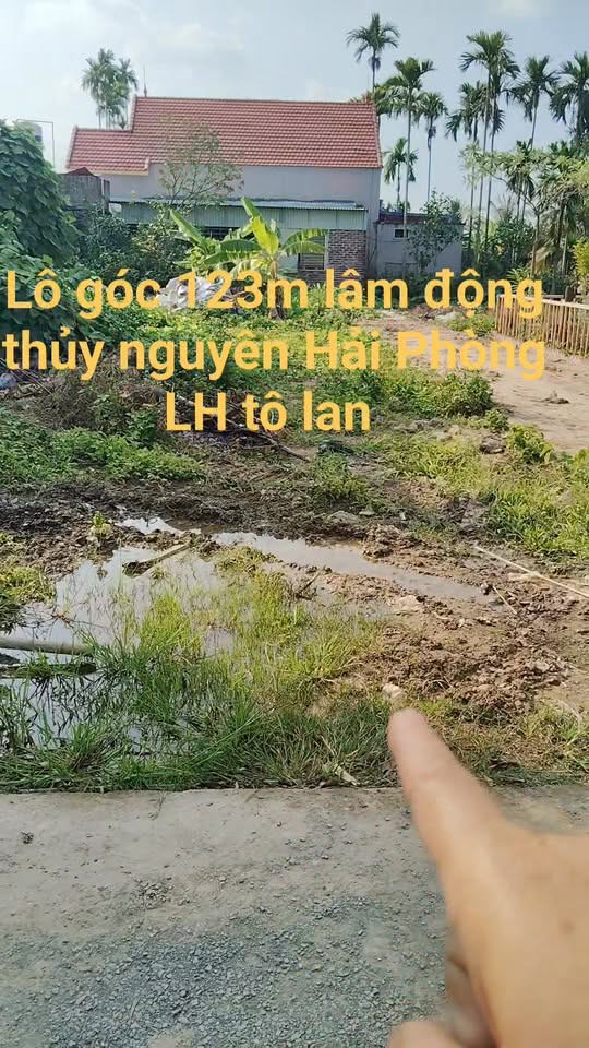 Đất nền Lâm Động Thủy Nguyên 123m² giá 1.55 tỷ - Sổ đỏ chính chủ, đầu tư sinh lời!