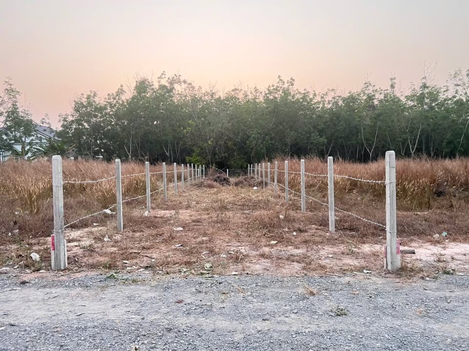 Đất thổ cư ấp Bến Rộng, Gò Dầu, Tây Ninh 165m² giá chỉ 430 triệu - Cần bán gấp!