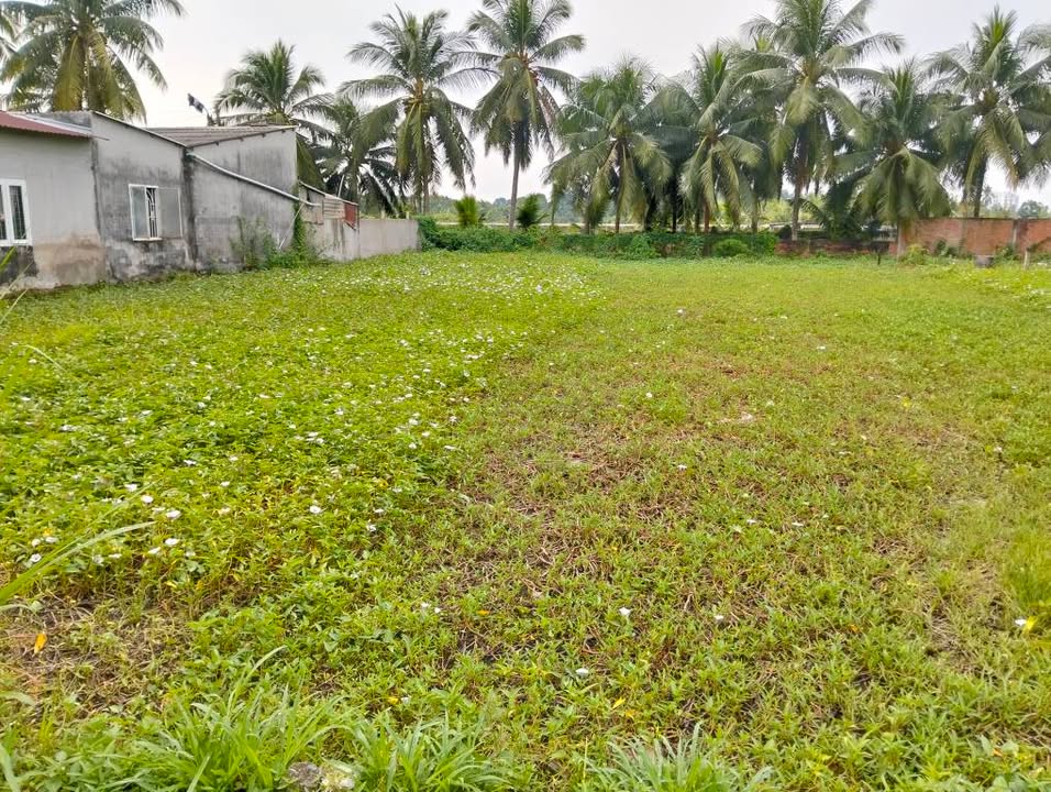 Đất nền Mỹ Phong 156m² giá 600 triệu - Bán nhanh thu hồi vốn!