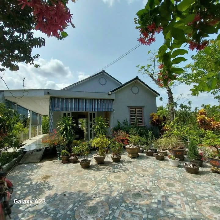 Nhà vườn 500m² tại Ấp Long Thạnh, Tiền Giang giá chỉ 1.98 tỷ - Không gian nghỉ dưỡng lý tưởng!