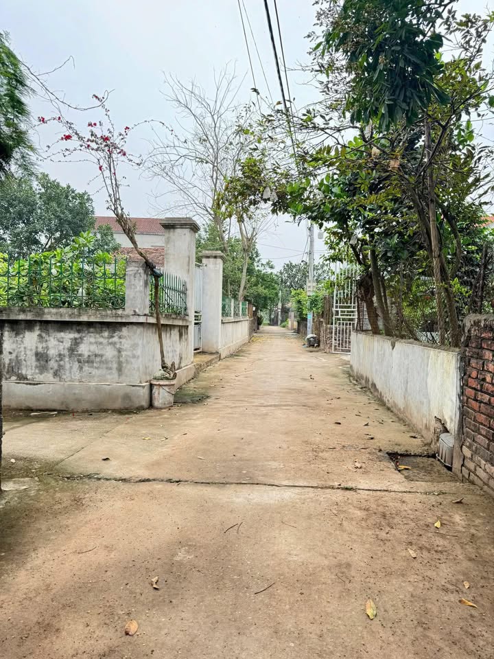 Đất nền 122,4m² Hoàng Trạch, Văn Giang chỉ 3 tỷ - Cơ hội đầu tư tuyệt vời!