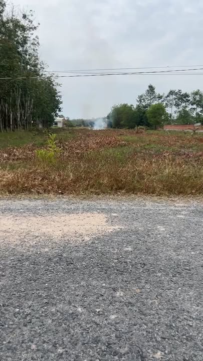 Đất nền xã Long Chữ, Bến Cầu 2217m² giá chỉ 1.5 tỷ - Cơ hội đầu tư hấp dẫn!