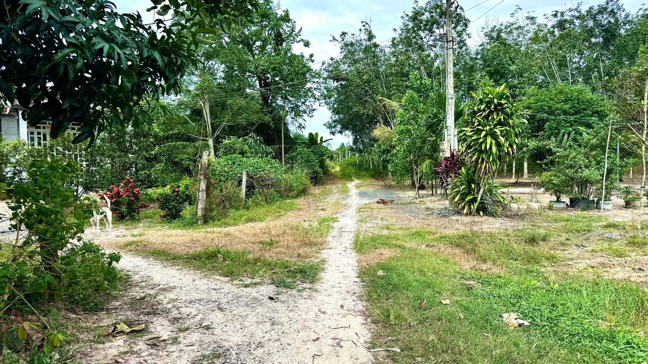 Lô đất Long Vĩnh 7400m² giá cực tốt - Đầu tư sinh lời ngay!