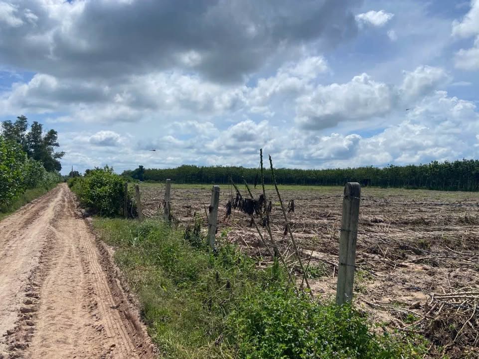 Đất nền Hòa Hiệp, Châu Thành Tây Ninh 15ha giá 12 tỷ - Cơ hội đầu tư lớn!