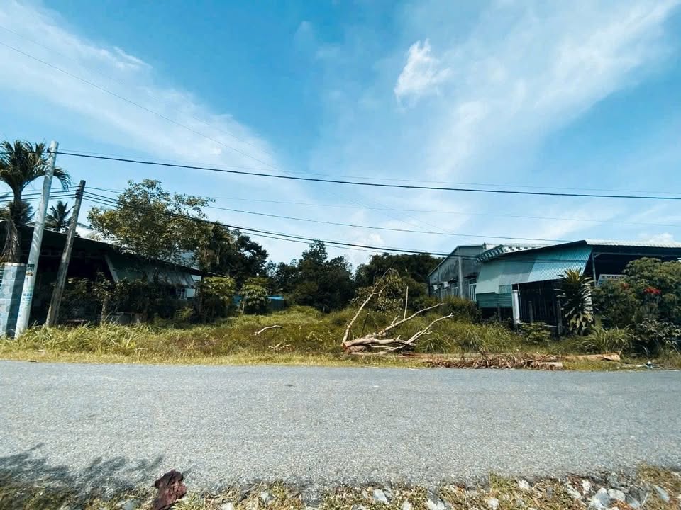 Đất nền mặt tiền Hiệp Thạnh Gò Dầu 453m² giá 2 tỷ - Cơ hội đầu tư sinh lời!