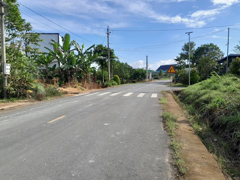 Đất thổ cư Cát Tiên 2600m² giá chỉ 550 triệu - Cơ hội đầu tư tuyệt vời!