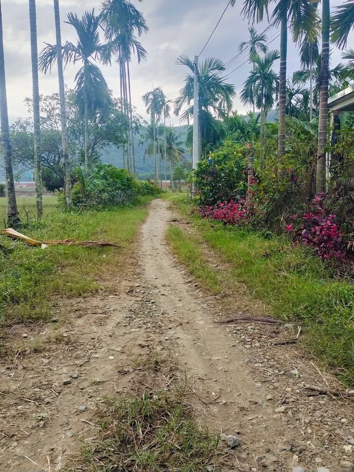 Đất vườn Hành Đức, Nghĩa Hành 470m² giá 500 triệu - Cơ hội đầu tư hấp dẫn!