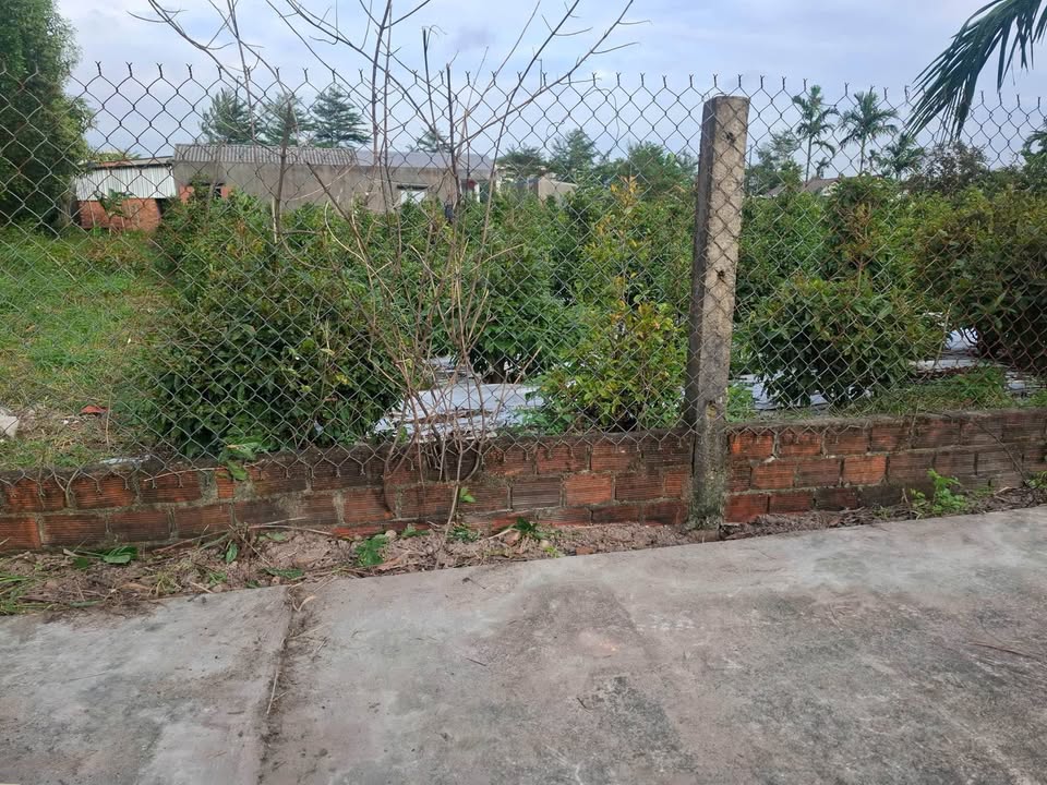 Đất nền liền kề Tịnh Phong 125m² giá tốt - Đầu tư sinh lời ngay