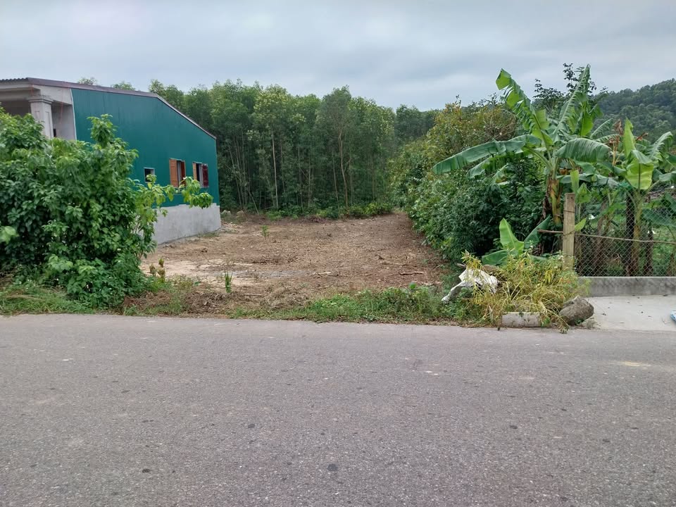 Đất nền Vĩnh Thủy 245m² giá 250 triệu - Mặt tiền đường nhựa 10m!