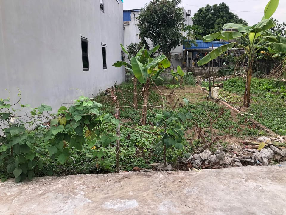 Bán đất nền mặt ngõ Trần Thừa, Liễu Nha, Nam Định 85m² giá 1.05 tỷ - Đầu tư sinh lời hấp dẫn!