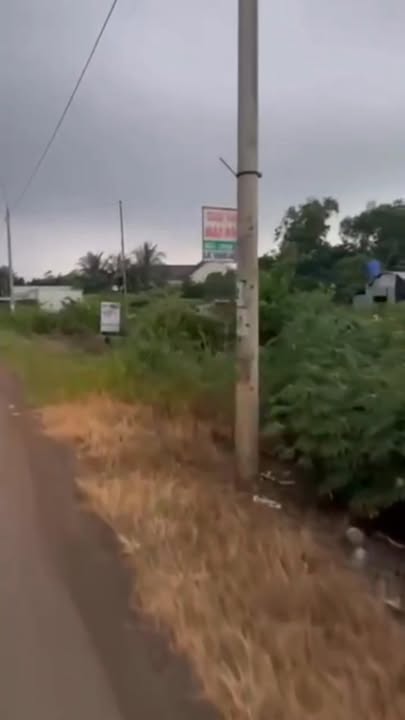 Đất thổ cư 3500m² mặt tiền đường 769 - Cơ hội đầu tư hấp dẫn!