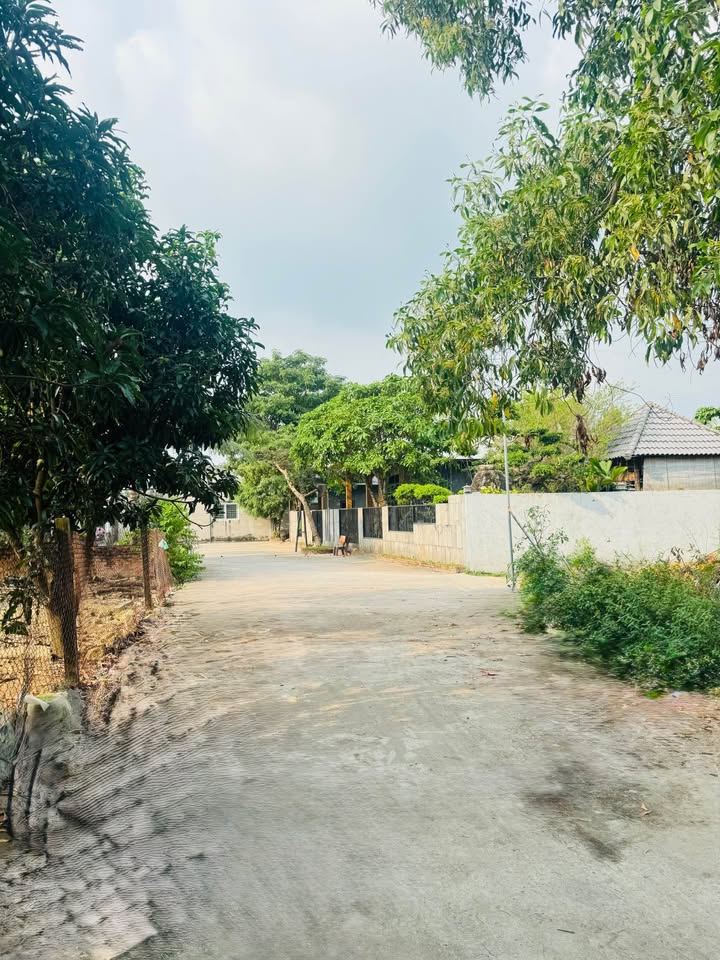 Đất nền hẻm 9 đường số 3 quận 7, diện tích 725m² giá 4 tỷ - Hướng đông mát mẻ!