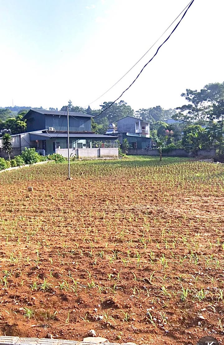 Đất thổ cư 120m² tại tổ 11, phường An Tường - Đầu tư sinh lời hấp dẫn!