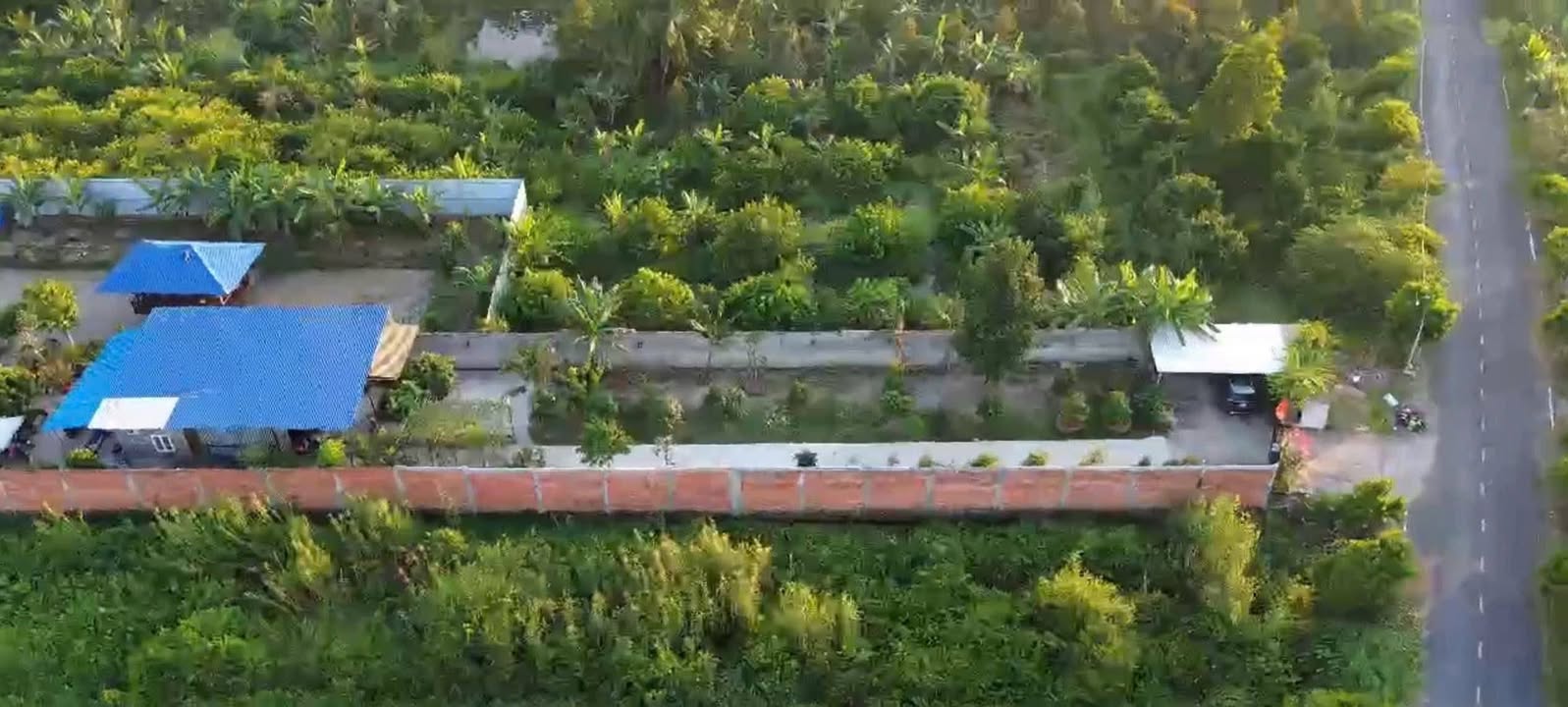 Nhà vườn nghỉ dưỡng Lộ Hậu Tân Thạnh Tây 1895m² giá 8 tỷ - Cơ hội đầu tư hấp dẫn!