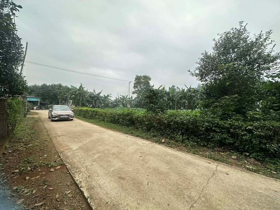 Đất nền Hồ Xá 140m² giá 300 triệu - Tiềm năng sinh lợi cao!