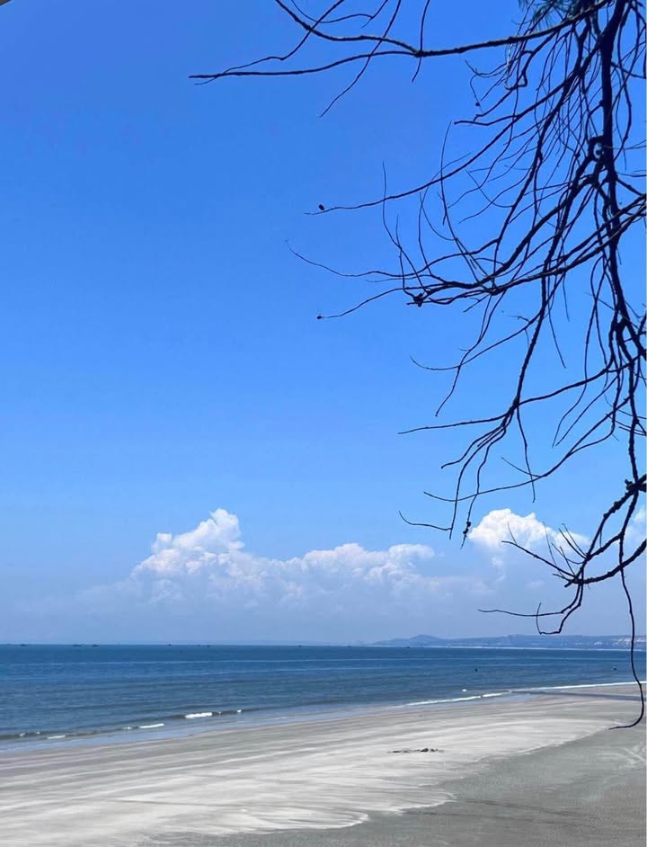 Đất mặt tiền Nguyễn Đình Chiểu, Mũi Né 136m² - Cơ hội đầu tư lý tưởng!