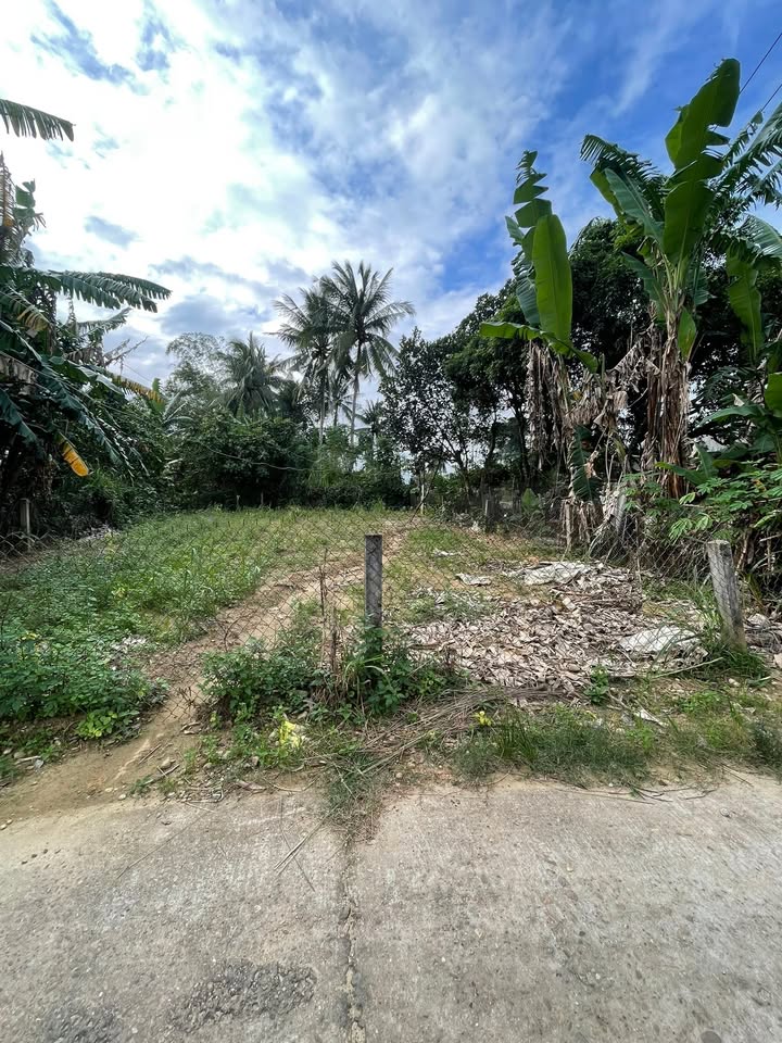 Đất nền Nghĩa Dõng 109m² giá 590 triệu - Hướng Nam, ô tô vào tận nơi!