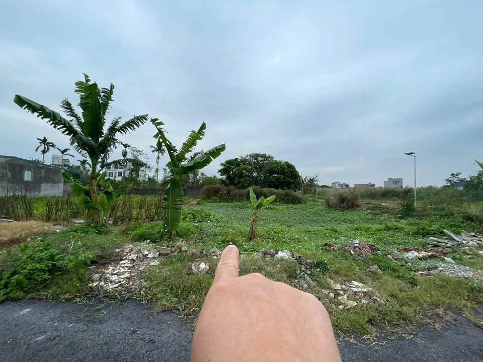 Đất nền đẹp tại thôn Quang Minh, phường Trần Lãm, 140m² chỉ 900 triệu - Cơ hội đầu tư tuyệt vời!