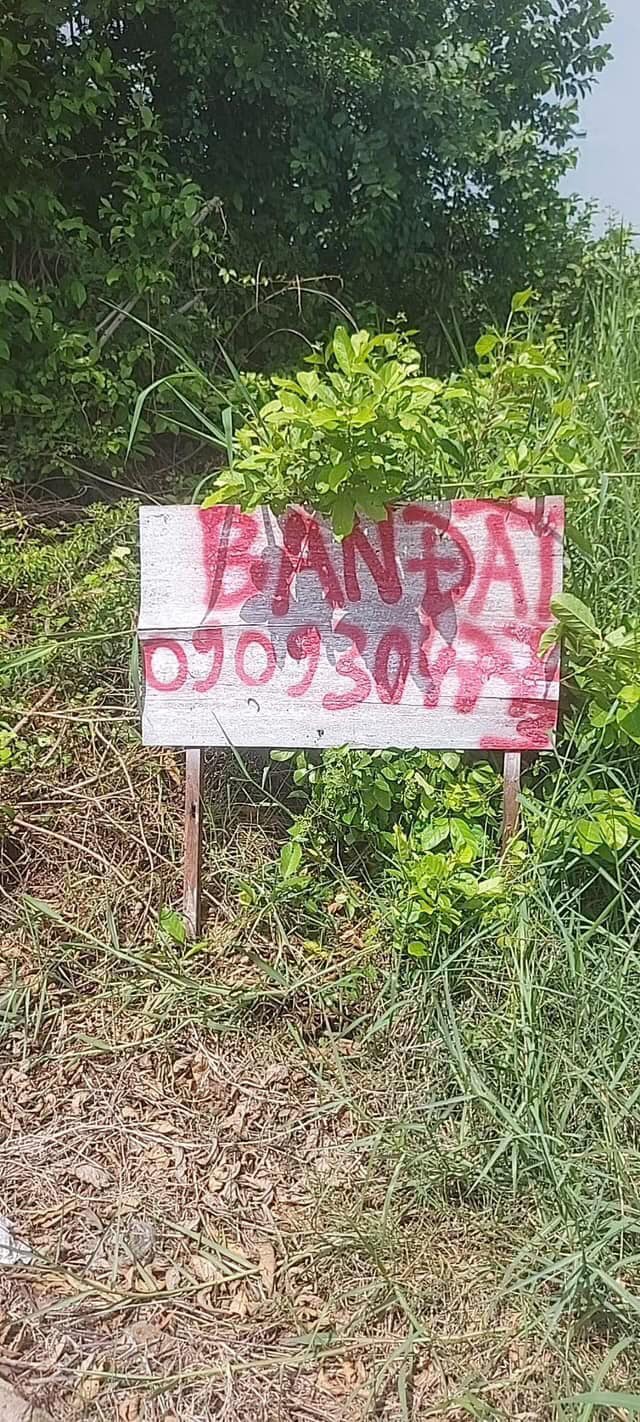 Đất nền 315m² tại Tân Quý Tây, Bình Chánh - Sổ riêng, giá 4.2 tỷ - Cần bán gấp!