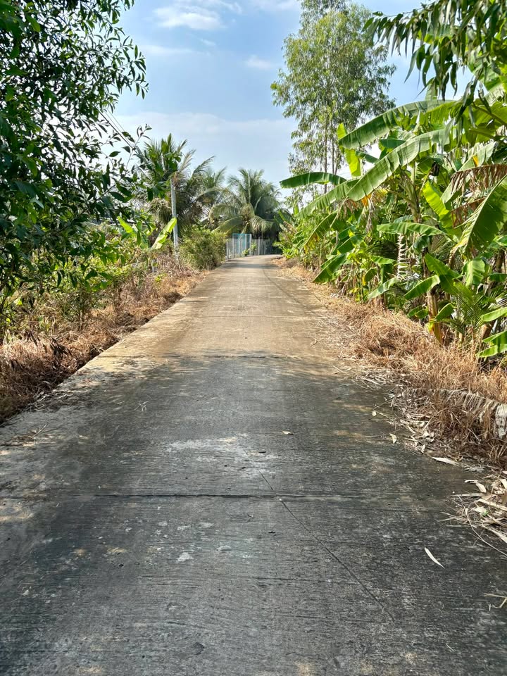 Đất vườn 2.661,7m² tại Xã Tân Phú, Tiền Giang - Giá 2,26 tỷ, thuận lợi đầu tư!